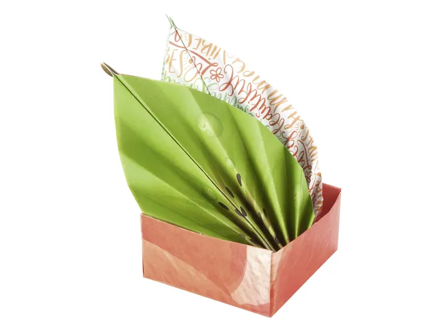 Vouwblaadjes Folia 80gr 15x15cm 50 vel 2-zijdig 10 tropical designs