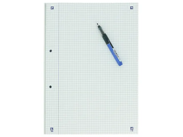 Cursusblok Oxford School A4 2-gaats ruit 5mm 100vel assorti