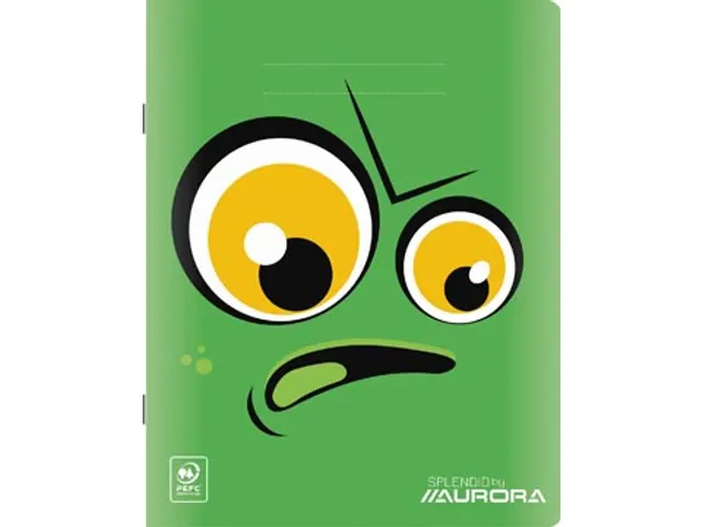 Splendid schrift, 48 bladzijden, ft 165x210mm, geruit 10mm