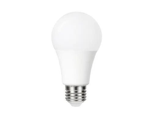 Ledlamp Integral E27 5000K koel wit 4.8W 470lumen dag/nacht sensor