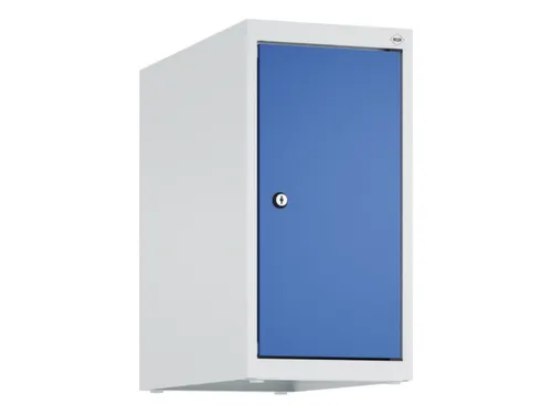 opzetkast,v. locker,1vak.,vak B 250mm,HxBxD 500x250x500mm,vleugeldeur