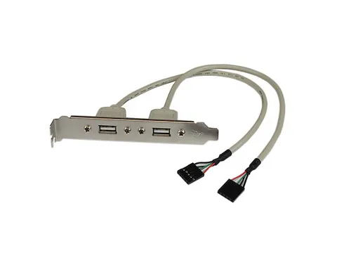 2-poort USB A Vrouwelijke Adapter Slotplaatje