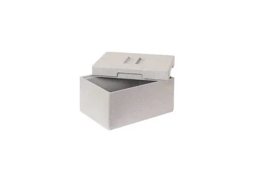 Euronorm-stapelbak,m. isoleerbox,HxLxB 235x400x300mm,22,5/10,4l,PP