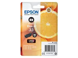 Inktcartridge Epson 33 T3341 foto zwart C13T33414012