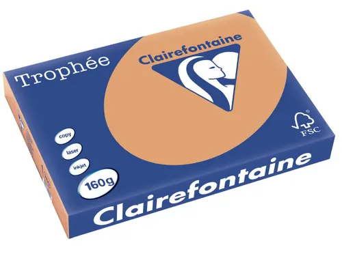 Trophée Pastel gekleurd papier A3 160 gram 250vel Caramel bruin