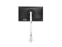 Chicago Enkel Monitorarm (2-10 kg) - Wit