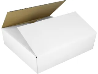 Verzenddoos Raadhuis 560x540x100mm EB-golf wit - 1