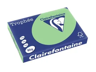 Trophée Pastel gekleurd papier A3 80 grams 500 vel natuurgroen - 2