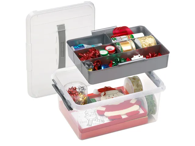 Boîte de rangement Q-line 15L avec plateau, gris transparent - 40 x 3