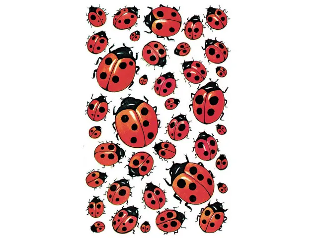 étiquette en papier Z-design Creative 3 feuilles coccinelles