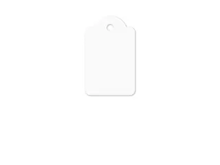 Draadetiket Kangaro 22x35mm wit doos a 250 stuks - 2