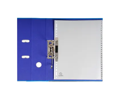 Bedrukte Tabbladen A4+ Grijs Polypropyleen 31-delig 1-31 23-Gaats