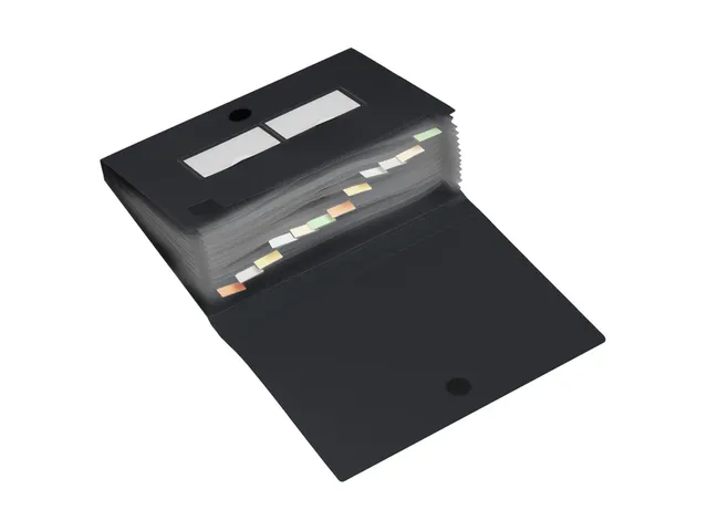 Sorteermap HF2 A4 12 vakken antraciet PP