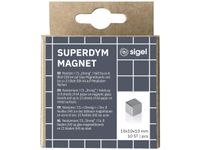 Magneten Sigel voor glasbord set 10stuks zilverkleurig C5 sterk 10x10x