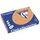 Trophée Pastel gekleurd papier A3 160 gram 250vel Caramel bruin