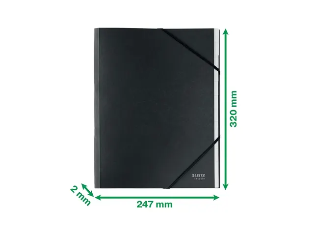 Sorteermap Leitz Recycle 12 vak karton zwart