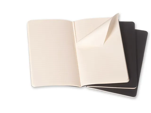 Schrift Moleskine Lijn Large Zwart 130x210mm