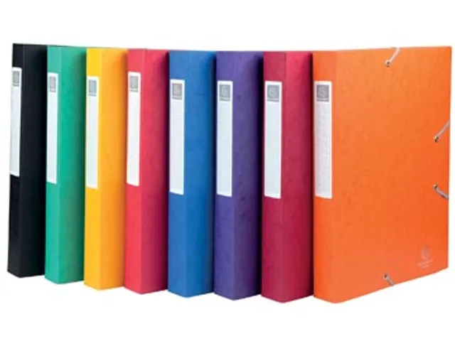 Elastobox A4 40Mm Karton Assorti