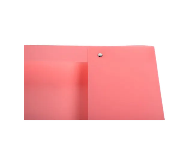 Boite de classement Exabox Dos 25mm Polypropylène 7/10e Chromaline pa