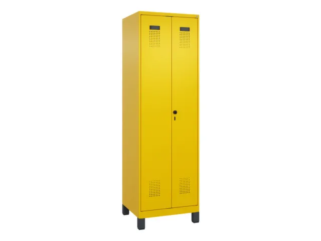 locker voor scheiding van kleding,HxBxD 1950x600x500mm,2vak