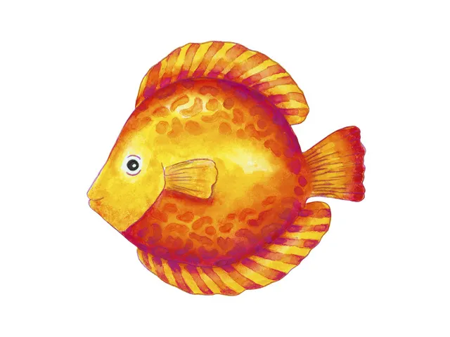 Aquarelpotlood Faber-Castell etui a 24 stuks + penseel