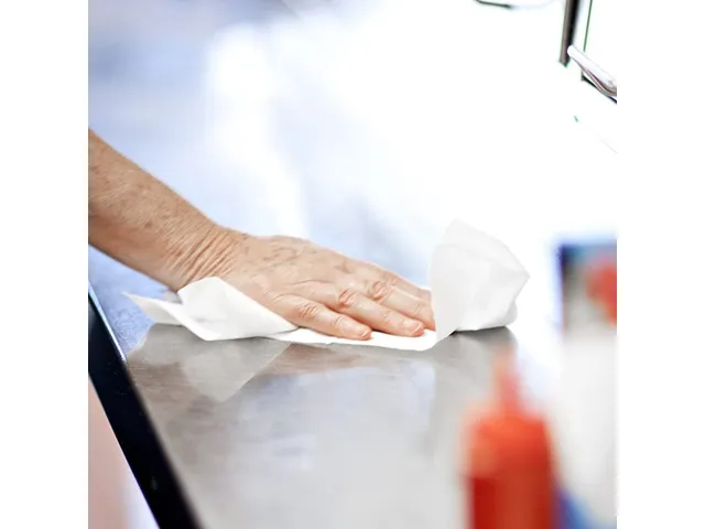 Tork 120269 Extra Absorberende Keukenrol Premium 2-laags 2 rollen