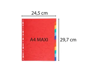 Tabbladen karton 220g 12-delig A4 maxi Assorti - 3