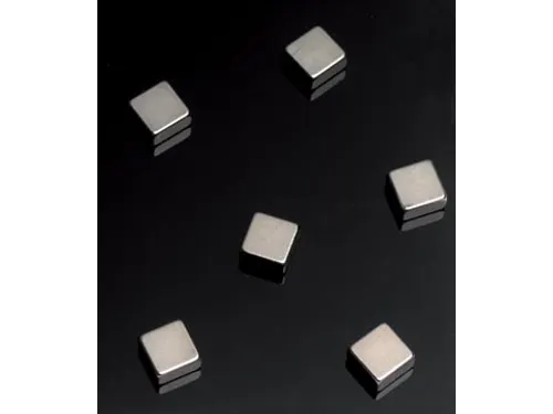 Naga Magneten Voor Glasborden 6 Stuks