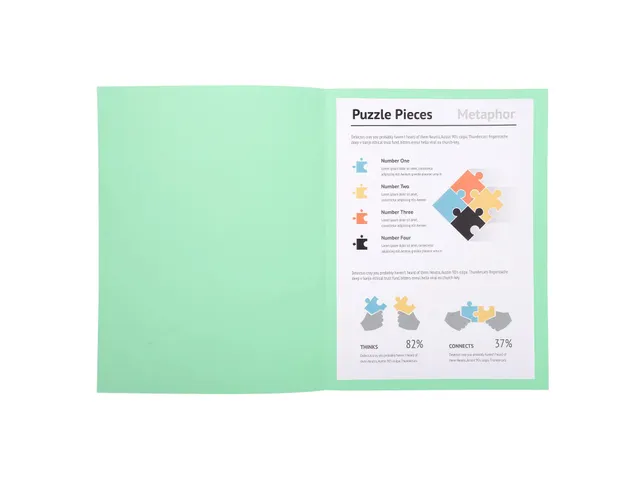 10 Dossiermappen Super 250 - 24x32cm Assorti
