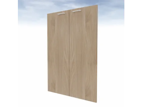 dubbele vleugeldeur v. scheidingswand 3OH HxB 1280x860mm olm