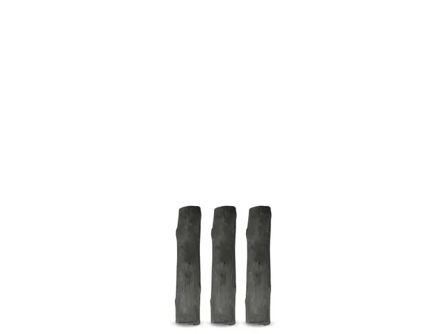 Waterfilter houtskool Les Artistes Paris set a 3 stuks Binchotan