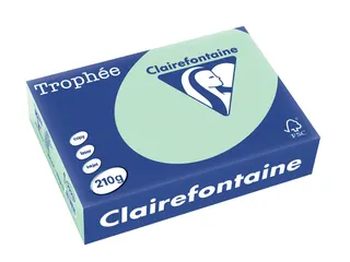 Trophée Pastel gekleurd papier A4 210 gram 250vel Groen - 1