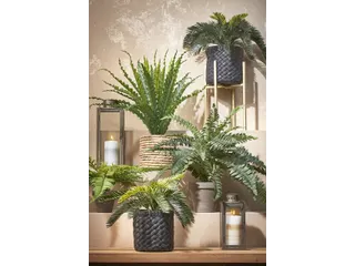 Kunstplant Mica Boston varen groen in pot 42x50cm - 12