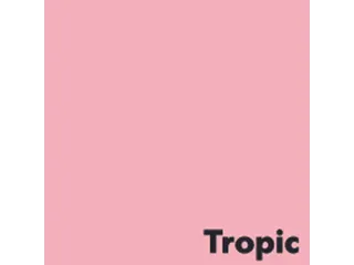 Offset papier Image Coloraction tropic/roze 80g 450x640mm FSC - 1