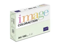 Kopieerpapier Jungle Lichtgroen A4 160 Gram 250 Vel