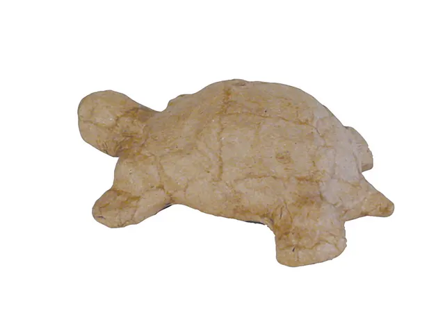 Figuur Décopatch schildpad 11x8.5x3.5cm
