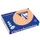 Trophée Pastel gekleurd papier A4 160 gram 250vel Zalm roze