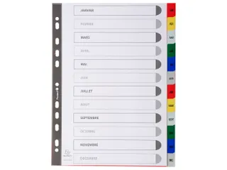 Bedrukte Tabbladen A4 12-delig Jan-dec 11-gaats Frans Assorti - 2