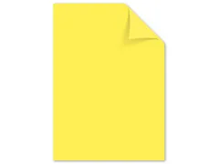 Papier Kangaro A4 80grs kanarie geel pak 100 vel