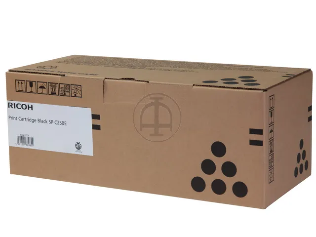 Toner 407543 Ricoh Spc250e Noir