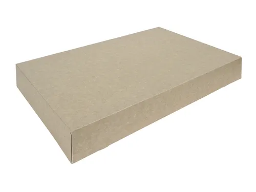 Cateringdoos IEZZY 55cm plasticvrij bruin 10 stuks