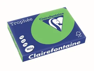 Trophée Intens gekleurd papier A3 160 gram 250vel Grasgroen - 2