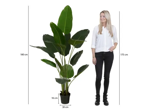 Kunstplant Mica Bananen boom in plastic pot 180x30cm
