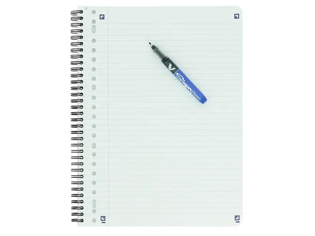 Collegeblok Oxford School A4+ 23-gaats lijn 80vel voordeelpak assorti