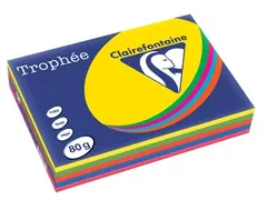 Trophée Intens gekleurd papier A4 80 gram 500vel Assorti