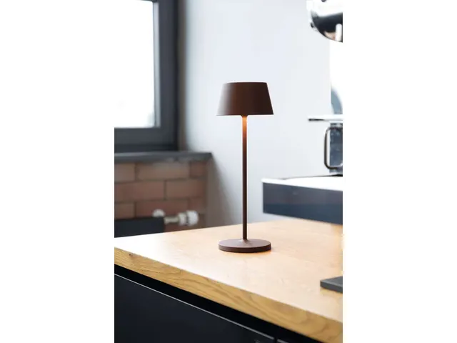 Lampe de table LED à pile MAULnina réglable marron