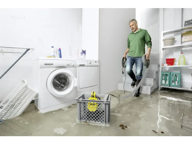 Dompelpompset SP 22.000 Flood Box