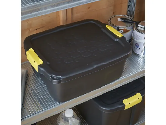 Boîte de rangement robuste 22,4L avec poignées Noir