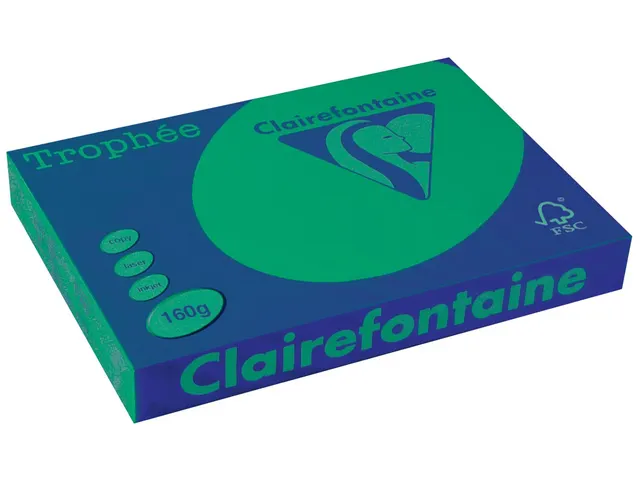 Trophée Intens, papier couleur, A3, 160 g, 250 feuilles, vert sapin