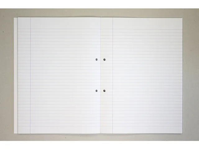 Cursusblok Kangaro A4 lijn 8mm 90 grams 100 vel